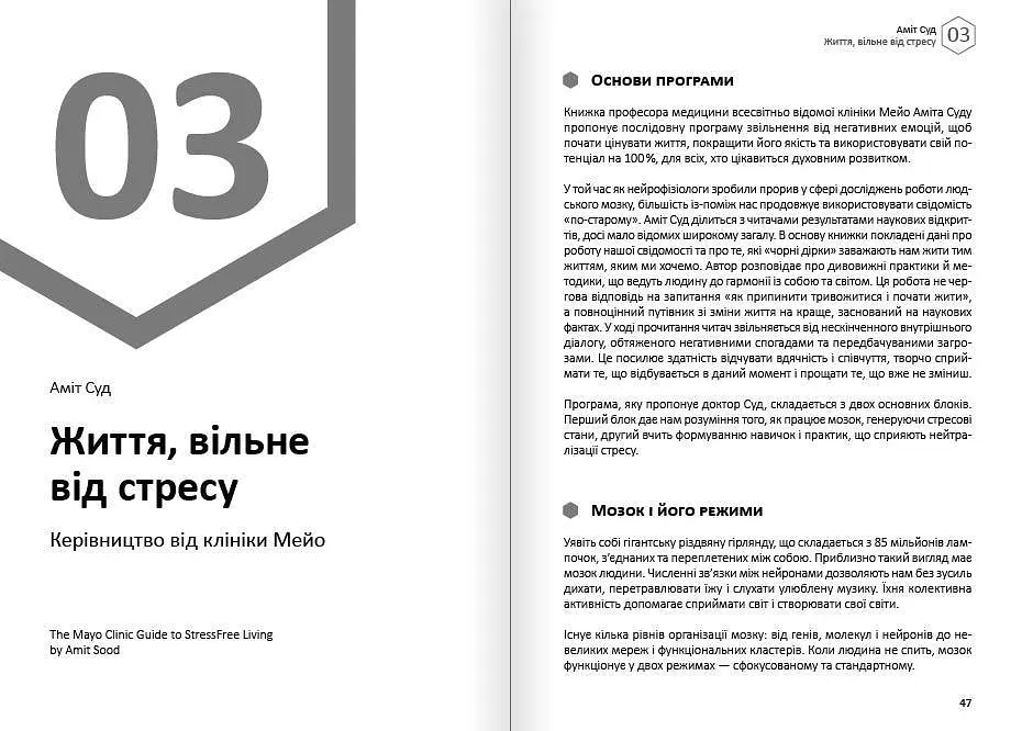 Щастя. Здоровий і щасливий рік. Збірник самарі + Аудіокнижка - фото 7