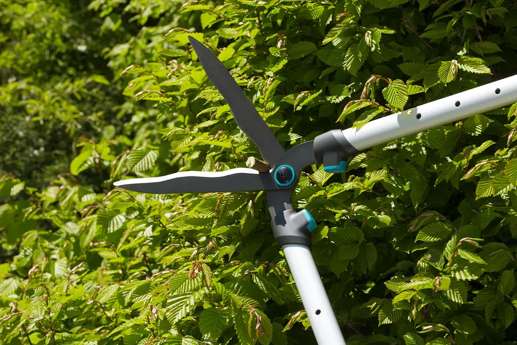 Ножниці для живої ізгороди телескопічні Gardena TeleCut (12304-20) - фото 2