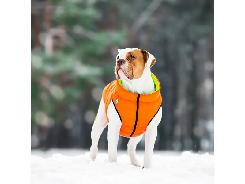 Курточка для животных Airy Vest двусторонняя L 55 оранжево-салатовая (1634) - фото 7