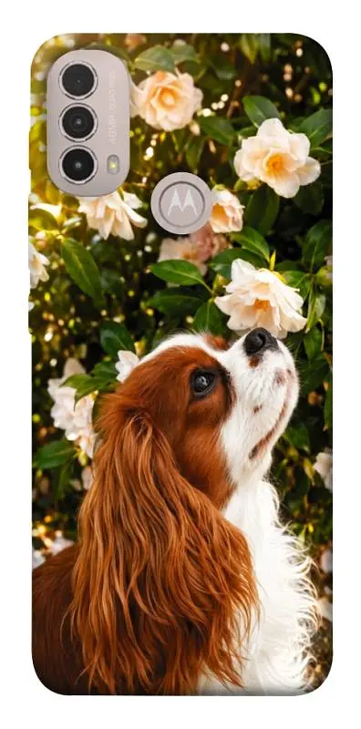 TPU чохол Demsky Flower spaniel для Motorola Moto E40