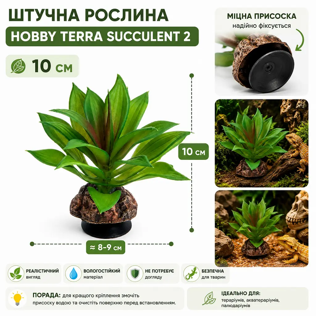 Штучна рослина Hobby Terra Succulent 2 10 см (37731) для тераріуму, акватераріуму та палюдаріуму - фото 2