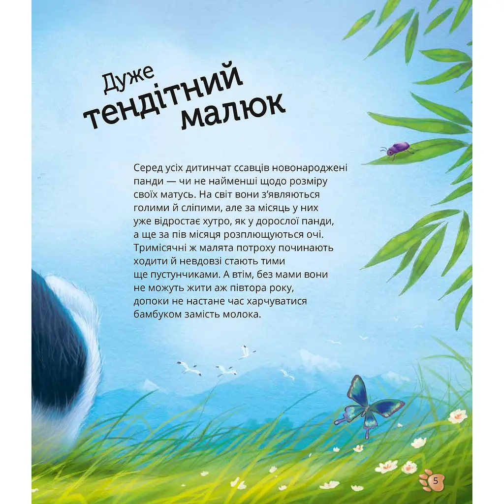 Дитяча книга Vivat Наймиліші малюки тварин - Алехандро Альґарра - фото 6