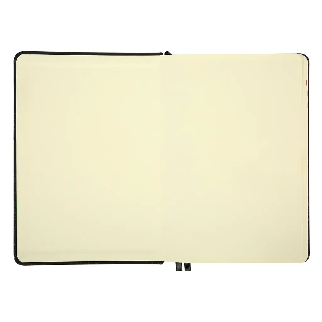 Щоденник А5 Leo Planner датований 2025 Persona чорний 368 сторінок (252665) - фото 3