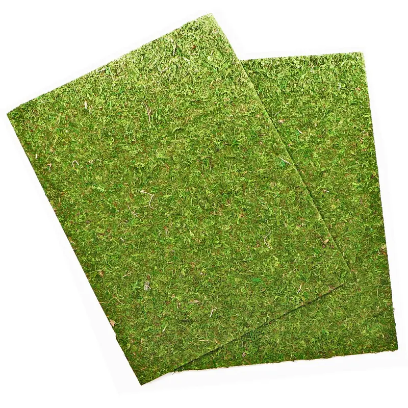 Фон з натурального моху Repti-Zoo Natural Moss Back & Bottom 20x30см 2 шт (NCM3020) для тераріуму - фото 3