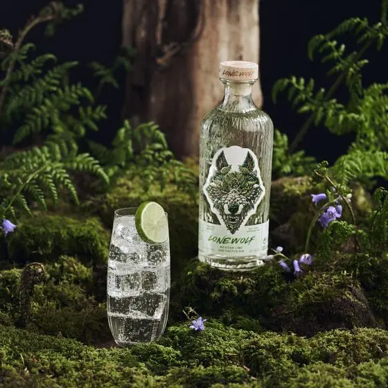 Джин BrewDog LoneWolf Mexican Lime &amp; Cactus Gin 38% 0.7 л - фото 2