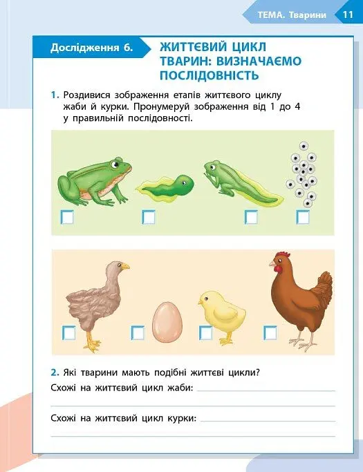 STEM-Старт. Зошит для учня. Наука про життя. 3 клас - Ірина Потапенко - фото 5