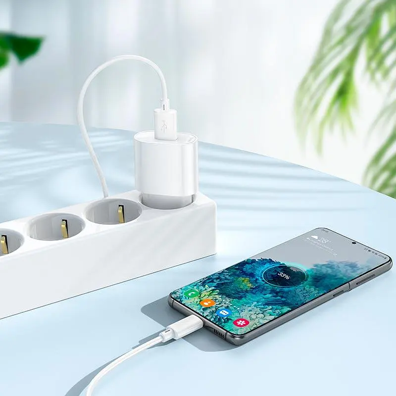 Адаптер мережевий HOCO Fighter single port charger C109A 1USB, 2.1A/10.5W - фото 2