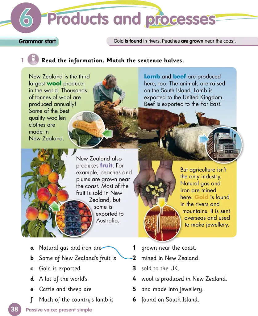 Grammar Goals. Level 5. Pupil's Book + eBook - фото 2
