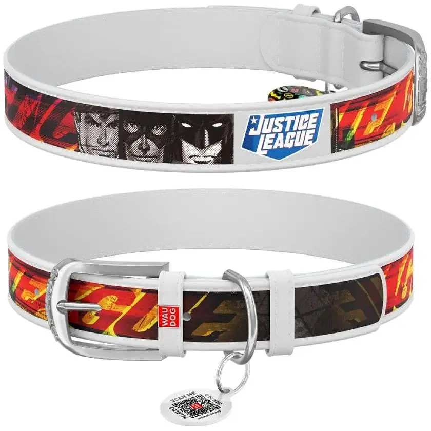 Нашийник для собак Waudog Design шкіряний з QR паспортом, малюнок Ліга Справедливості, S, Ш 15 мм, Дов 26-35 см - фото 1