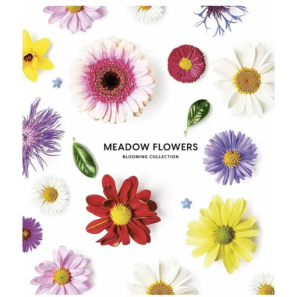 Зошит загальний Школярик Meadow flowers, в лінійку, 36 арк, УФ-лак, 20 шт. (036-3190L) - фото 3