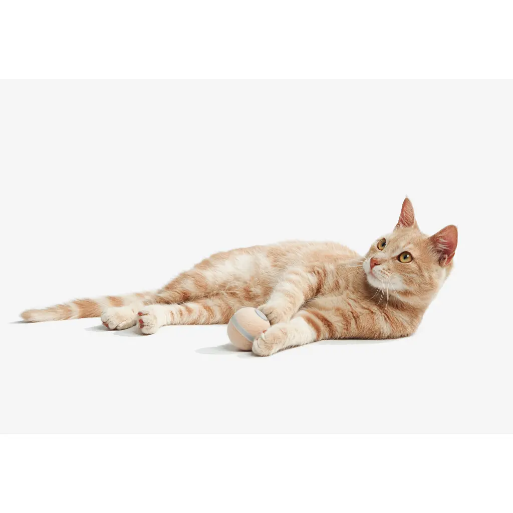 Іграшка для котів Cheerble Wicked Ball M3 (Apricot Beige) (CWQ02A) - фото 11