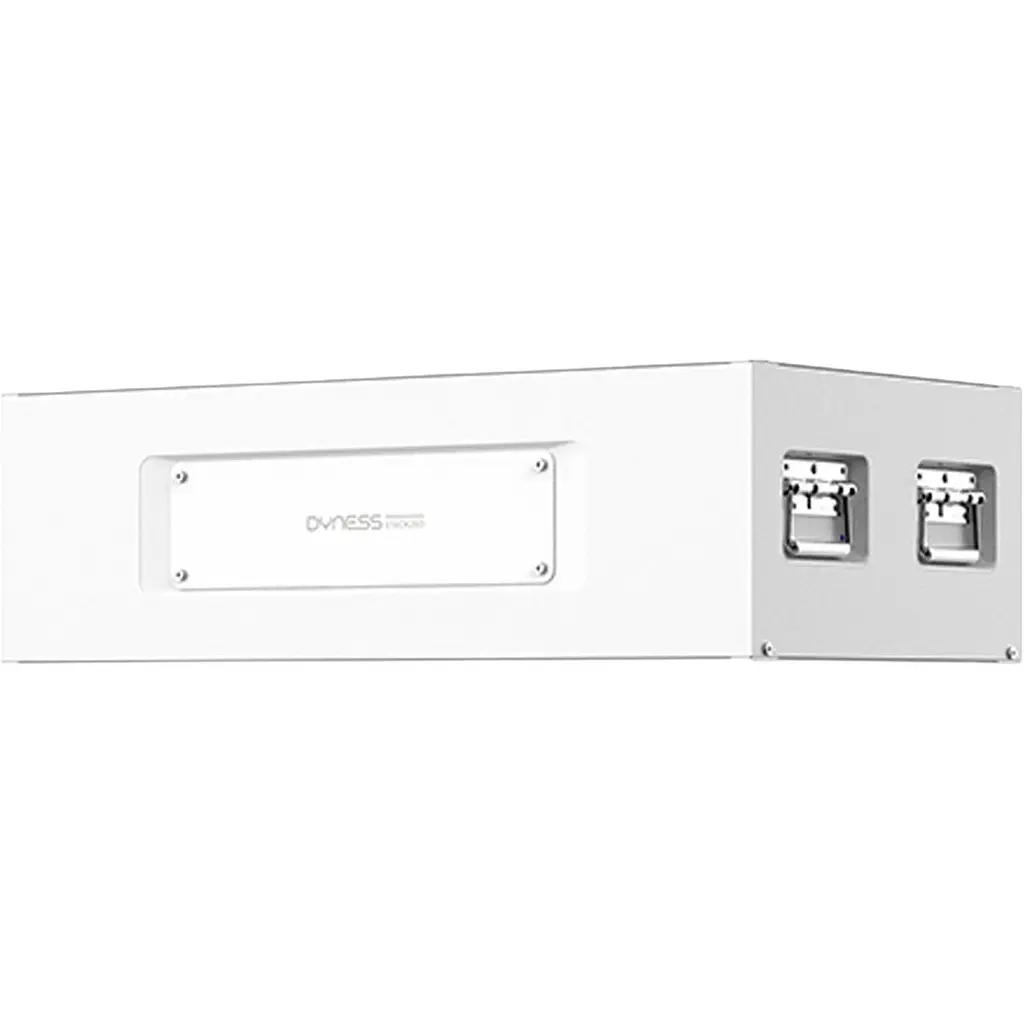 Акумулятор Dyness LiFePO4 48 В (51.2 В/280 А/14336 Вт·год) (STACK280 S51280) [175548] - фото 2
