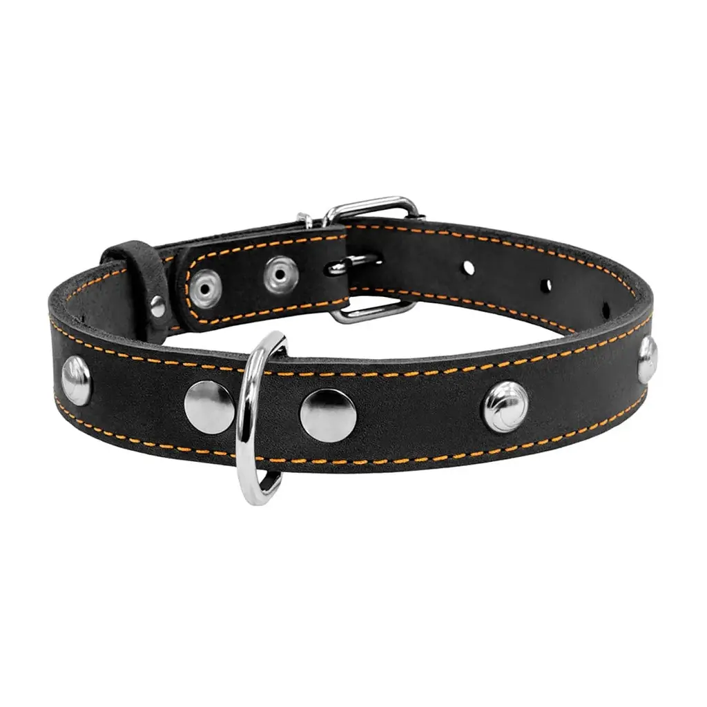 Нашийник Collar одинарний з прикрасами, 38-50х2,5 см, чорний - фото 2