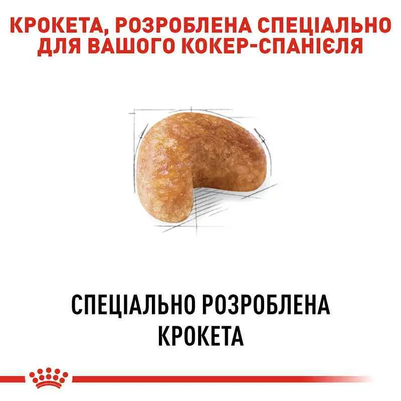 Сухий корм для дорослих собак породи Кокер спаніель Royal Canin Cocker Adult, 3 кг (3969030) - фото 4