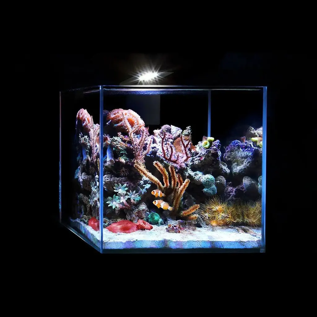 Комплект AquaLighter Nano Marine Set, 15 л - фото 6