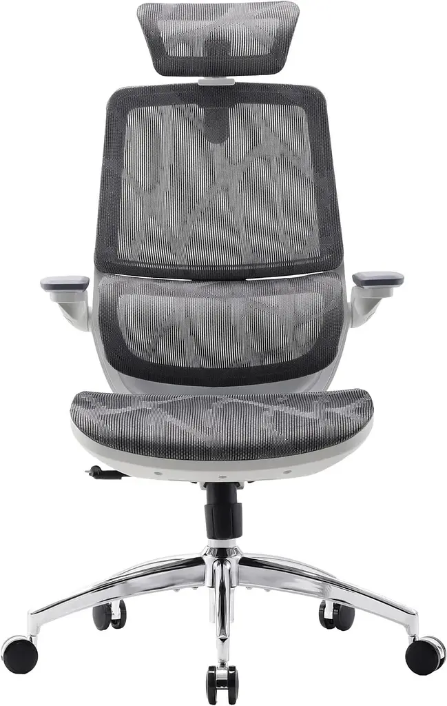 Офісне крісло Sihoo M59AS Mesh Gray (M59AS-M301)