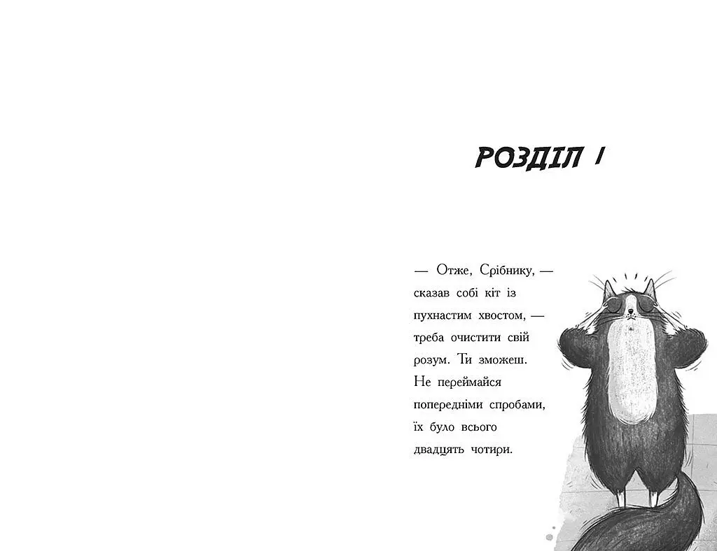 Тото. Кішка-ніндзя та справа про викрадення сиру. Книга 2 - Дермот О'Лірі (Ч1522002У) - фото 4