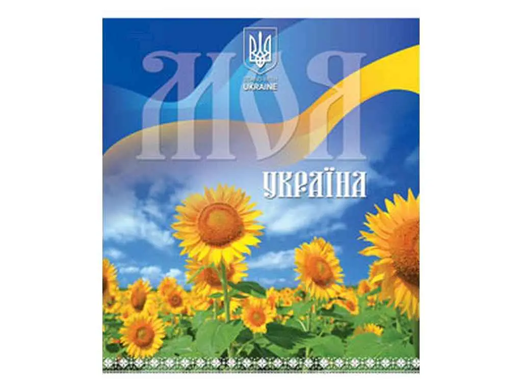 Зошит в клітинку МРІЇ ЗБУВАЮТЬСЯ 96 арк. 8 шт./уп. арт.3629к Україна - фото 3