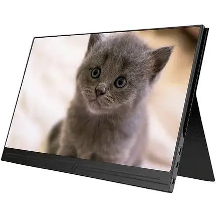 Портативный монитор ZSUS 15YZ Black [101369] - фото 2