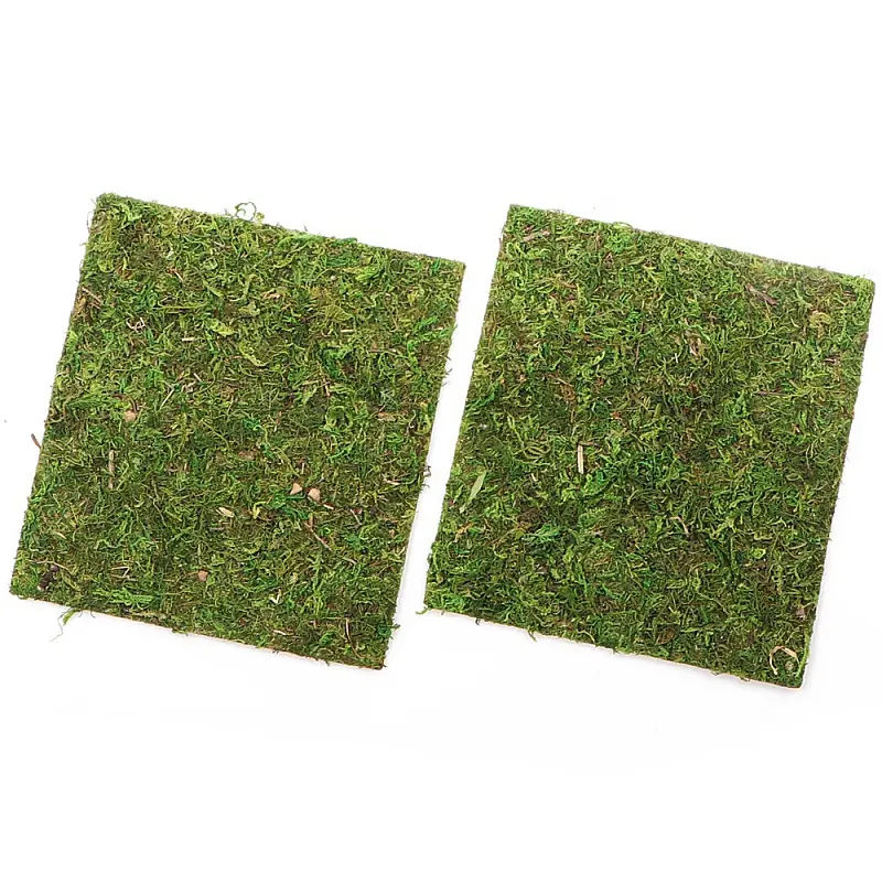 Фон з натурального моху Repti-Zoo Natural Moss Back & Bottom 20x20см 2 шт (NCM2020) для тераріуму - фото 4