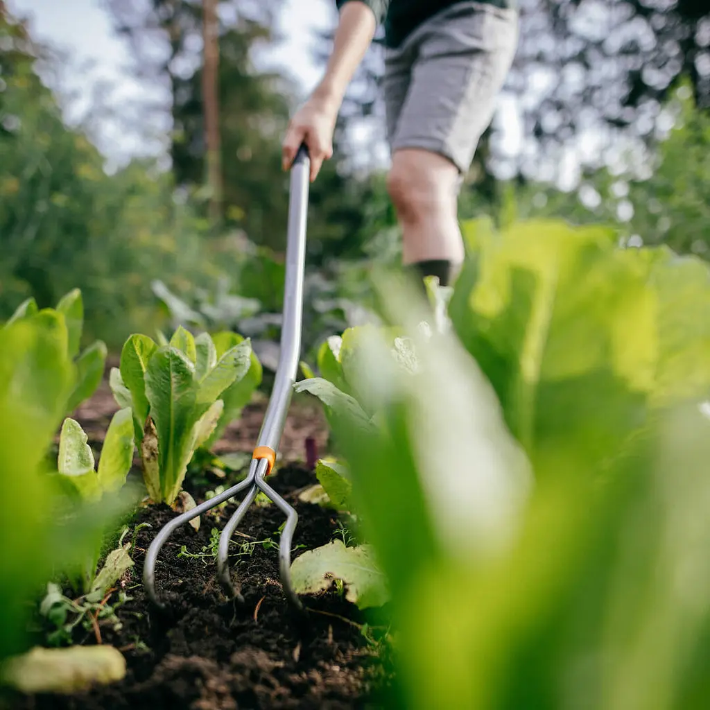 Культиватор S-ручка Fiskars Ergonomic (1076978) - фото 5