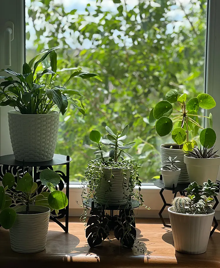 Підставка металева для квітів-вазонів NC Home Plant чорна - фото 4
