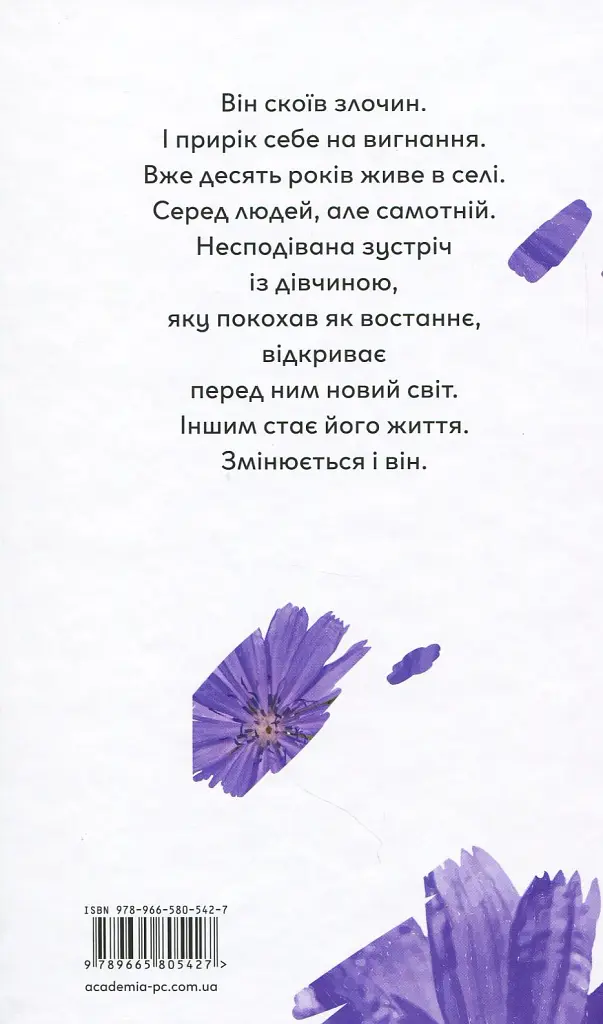 Квіти цикорію - Ольга Лілік - фото 2