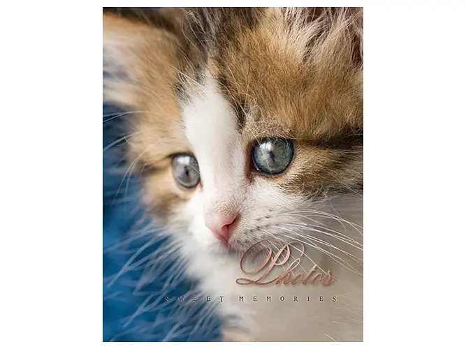 Альбом UFO PP-46200 Cat photo 10x15x200см (PP-46200 Cat photo) - фото 4