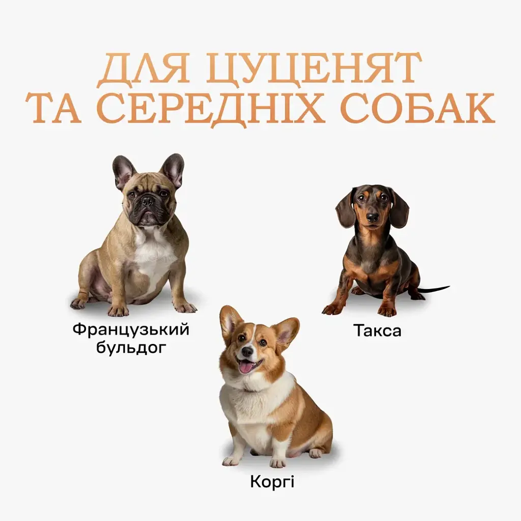 Туалет лоток під пелюшку для собак 60х90 ПУХНАСТЕ ЩАСТЯ сірий - фото 3
