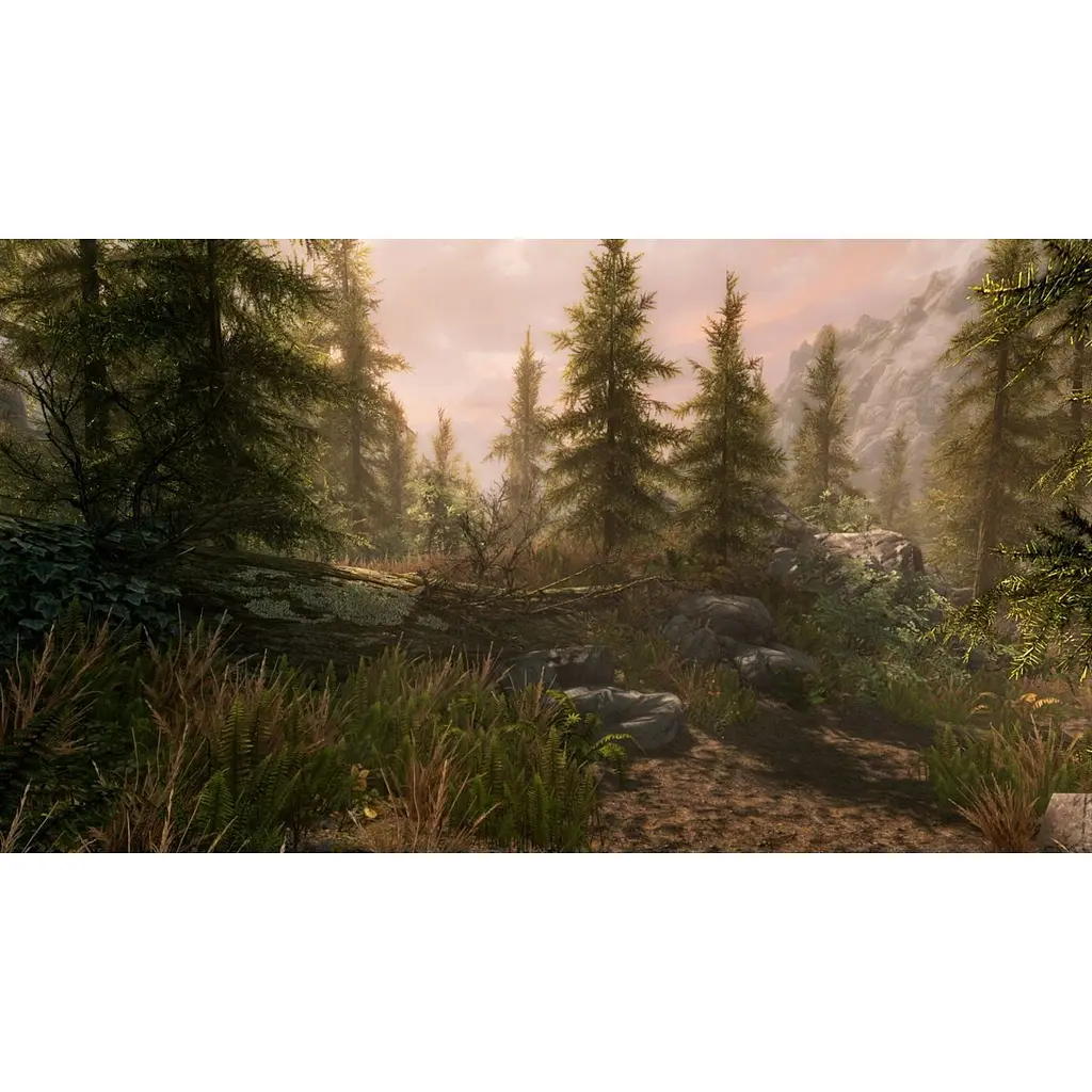 Ключ активации Microsoft The Elder Scrolls V: Skyrim Special Edition для Xbox One/Series - фото 7
