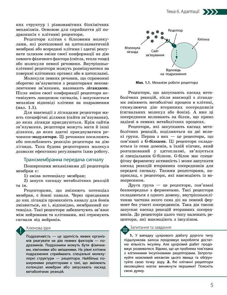 Біологія і екологія. Підручник. Профільний рівень. 11 клас - Костянтин Задорожний - фото 4