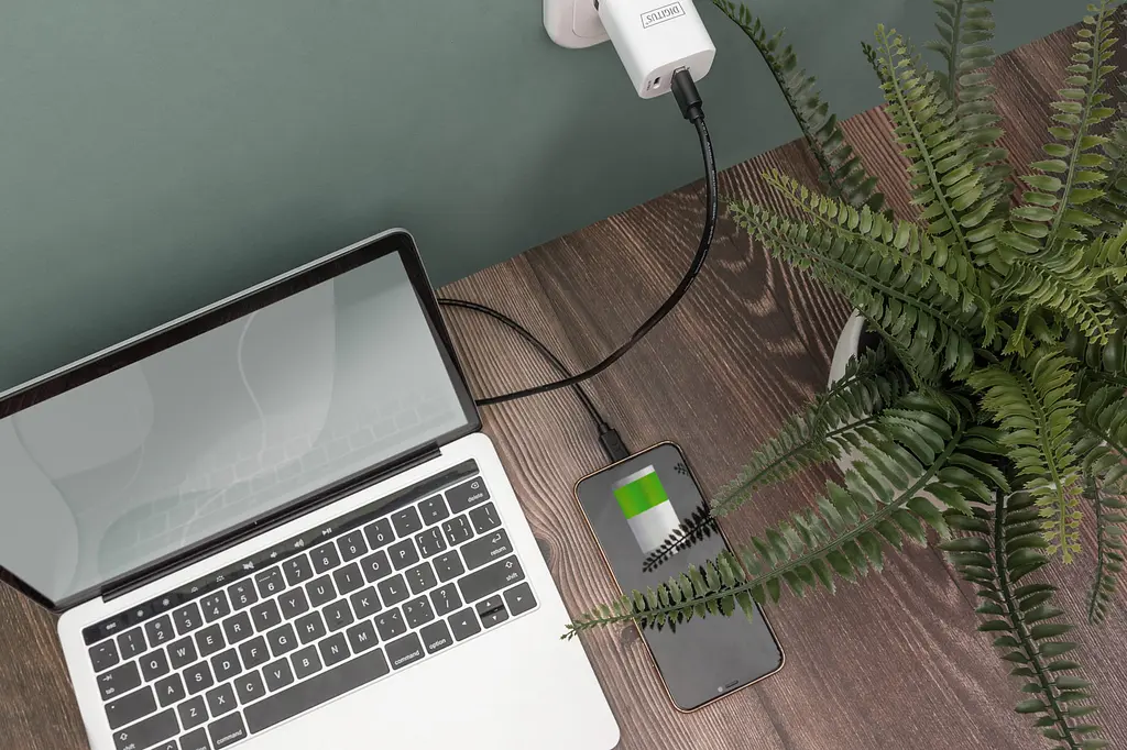 Кабель Digitus USB-A > USB-C заряджання/синхронізації, USB 2.0, M/M, 3м, чорний teh0025062 - фото 3