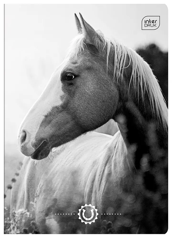 Зошит Interdruk Horses клітинка A5 12 аркушів 8 шт. (298546-8) - фото 3