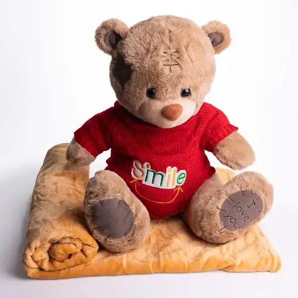 Мягкая игрушка с пледом 110х140 см Мишка Тедди в красном свитере бежевый детский плюшевый плед игрушка подушка детская ТМ COLORFUL HOME 509-35BRR - фото 2