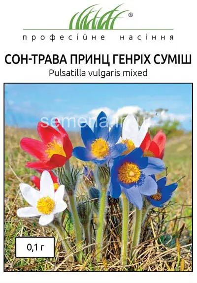 Насіння сон-трави Принц Генріх суміш 0.1 г (Професійне насіння)