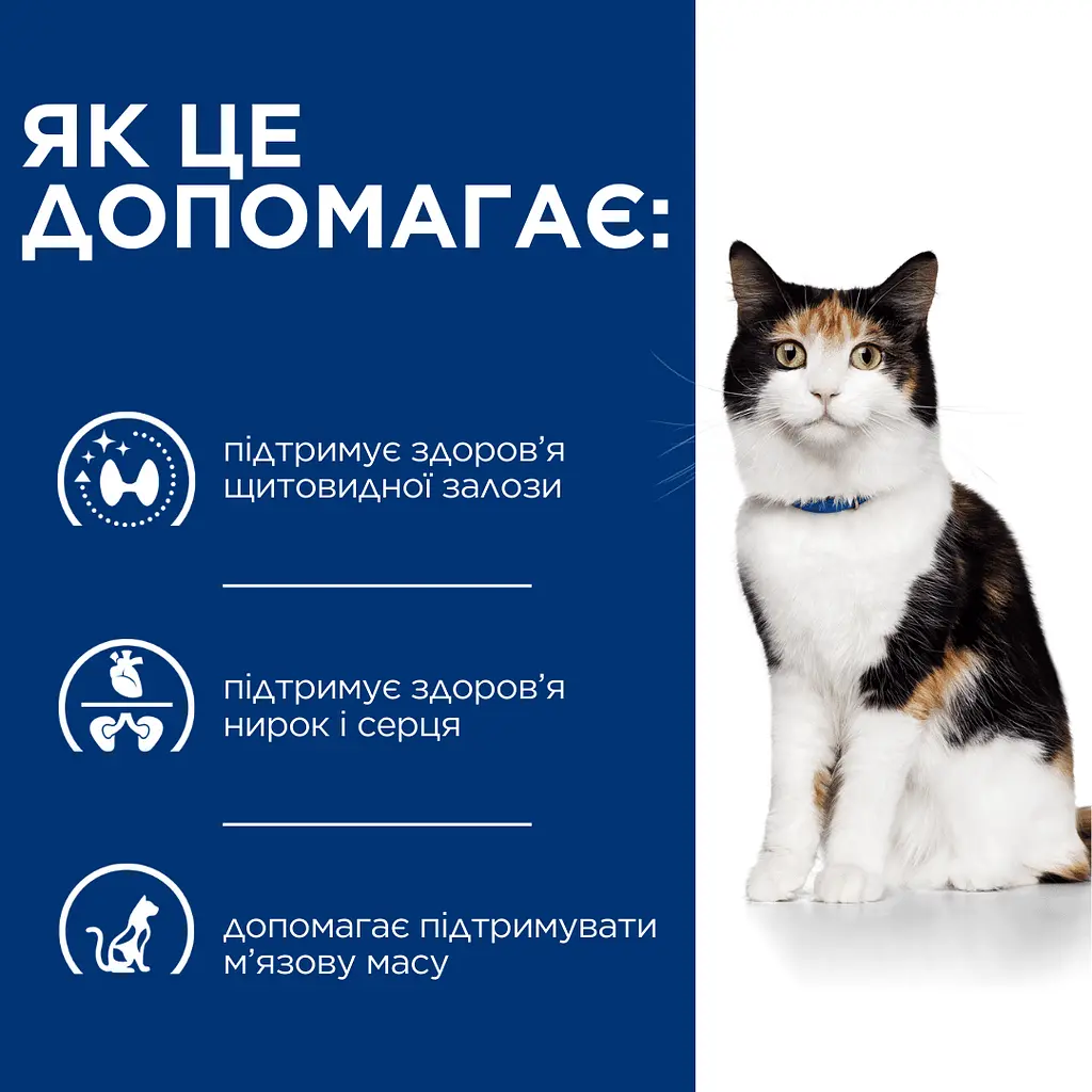 Сухий корм Hill's Prescription Diet y/d Thyroid Care для підтримки здоров'я щитоподібної залози, 3 кг - фото 4