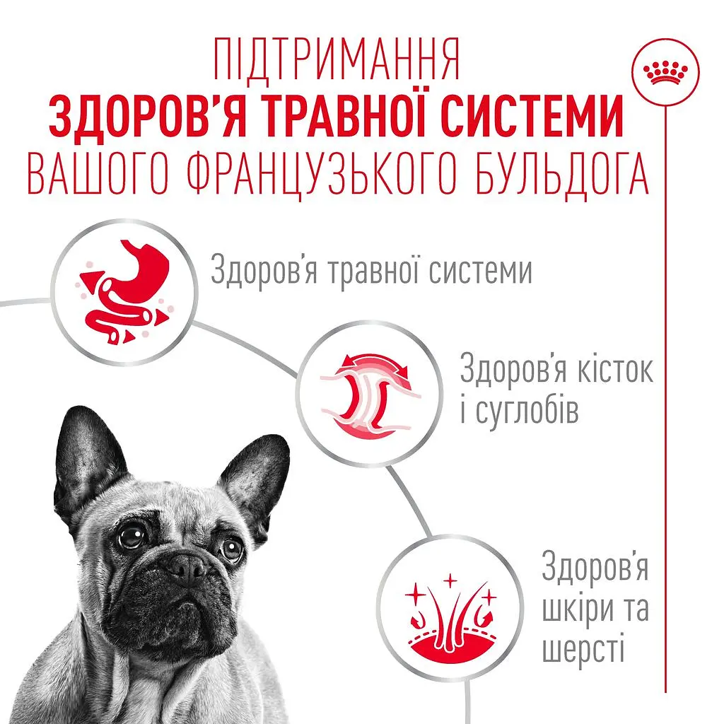 Набір вологого корму Royal Canin French Bulldog Loaf для собак породи французький бульдог 1.02 кг (12 шт. х 85 г) - фото 3
