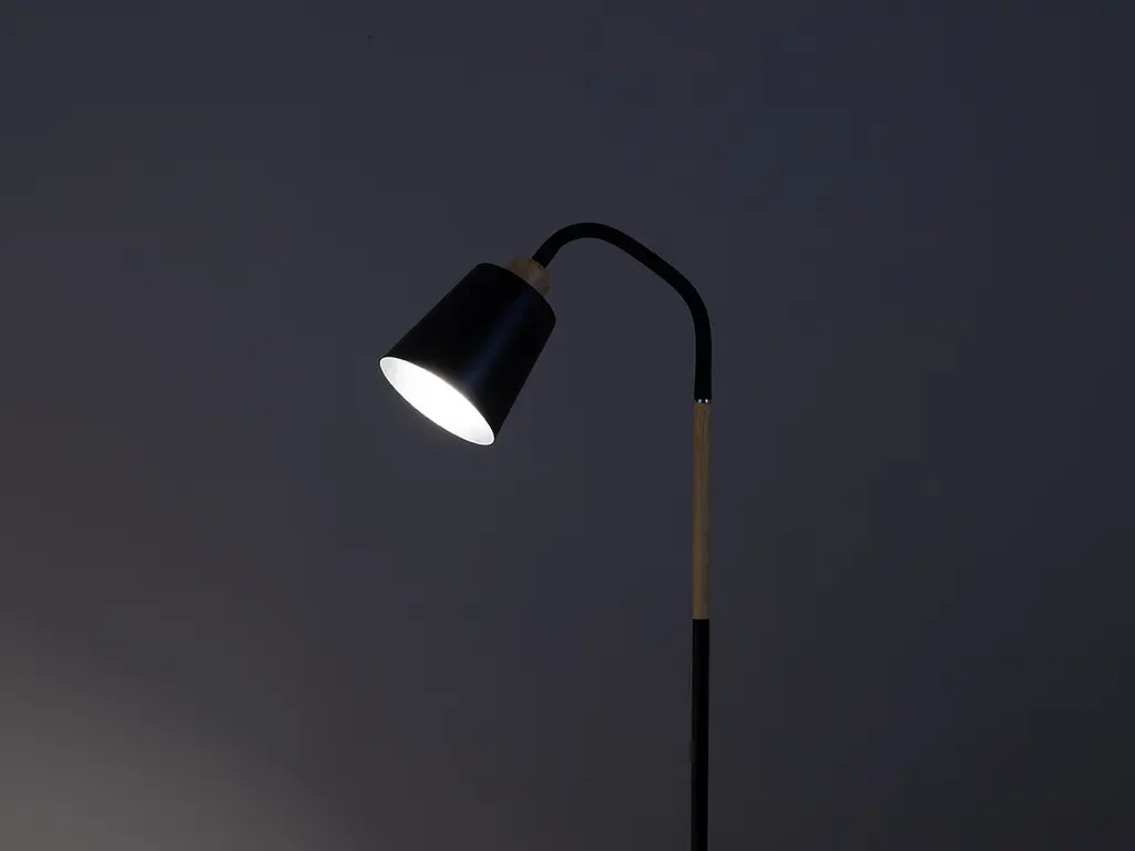 Торшер для чтения FLT-75F/1 E27 BK - фото 2