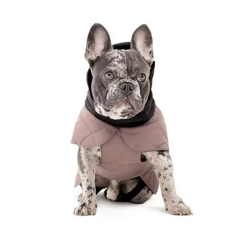 Попона Pet Fashion Max для собак SM - фото 3