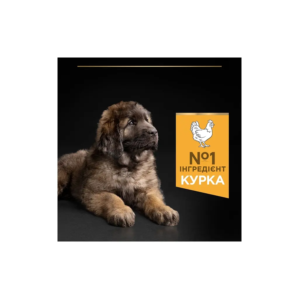 Сухий корм для собак Purina Pro Plan Dog Large Puppy Robust з куркою і рисом 12 кг (7613035120341) - фото 6