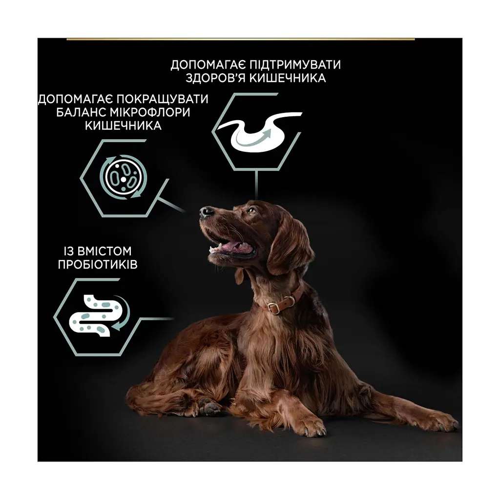 Сухий корм для собак Purina Pro Plan Large Athletic Adult 2+ Sensitive Digestion Для великих порід атлетичної статури З ягням 14 кг (7613035415591) - фото 7