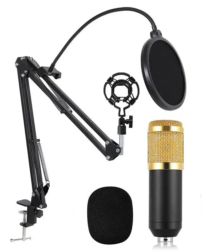 Конденсаторний студійний мікрофон RIAS M-800 Pro-MIC зі стійкою і вітрозахистом Black-Gold (4_00352) - фото 2
