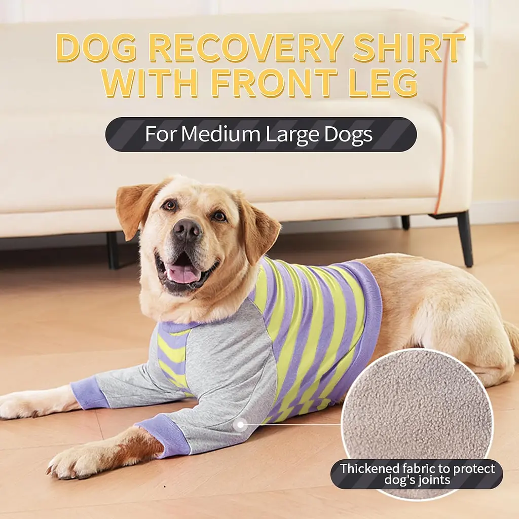 Костюм для відновлення собак Derby Stop Licking Dog Recovery Shirt, Purple, M - фото 3