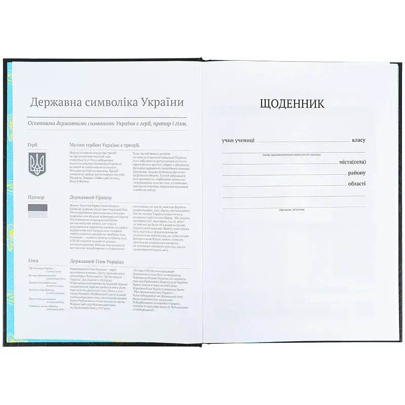 Щоденник шкільний Kite Cyber 170х238 мм чорний (K25-262-4) - фото 4