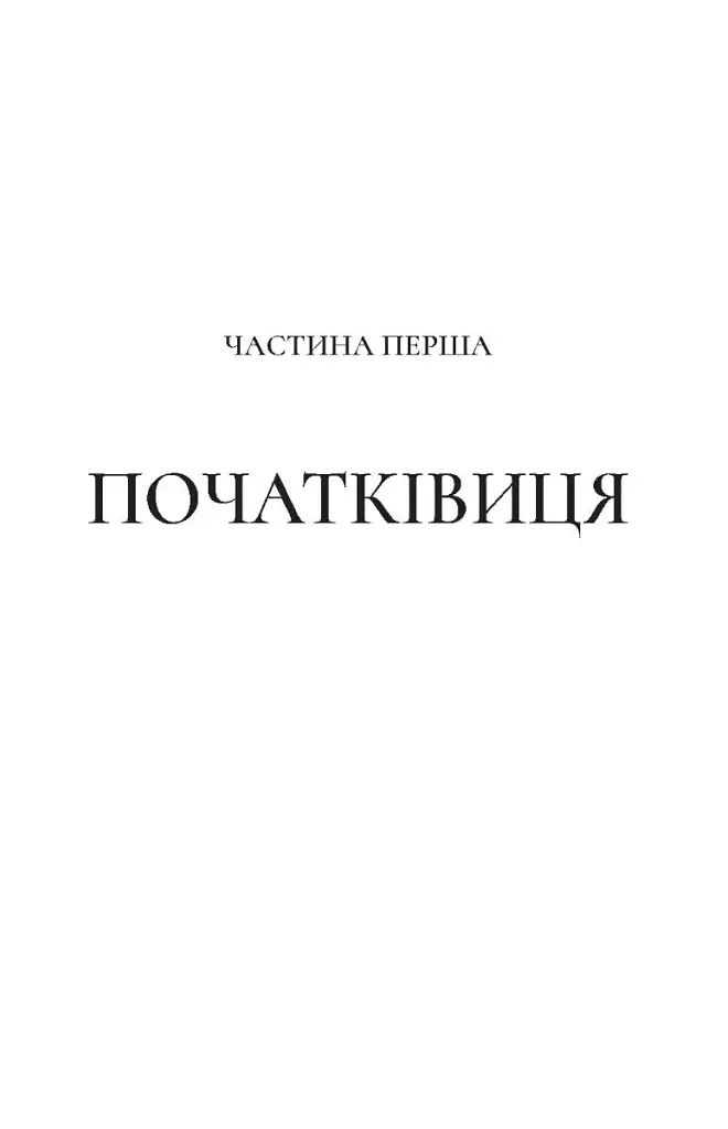 Двір срібного полум'я - фото 5