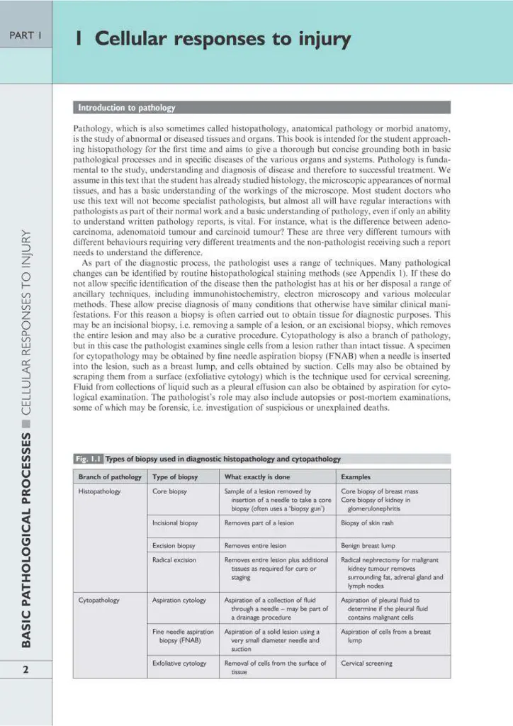 Wheater's Basic Pathology: A Text, Atlas, and Review of Histopathology. International Edition, 5th Edition - Вільям Стюарт - фото 5