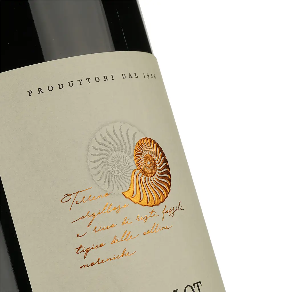 Вино Cantina Castelnuovo del Garda Merlot, 12%, 1,5 л - фото 3