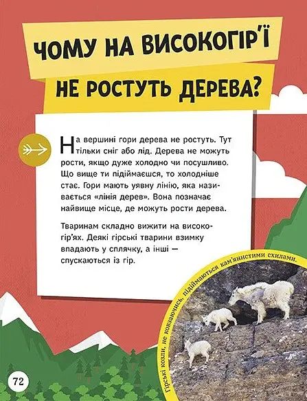 Енциклопедія юних розумників - Ненсі Дікманн - фото 15