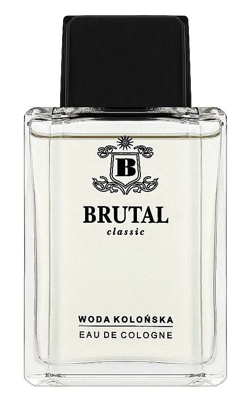 Одеколон для чоловіків La Rive Brutal Classic 100 мл (W0000094000) - фото 2