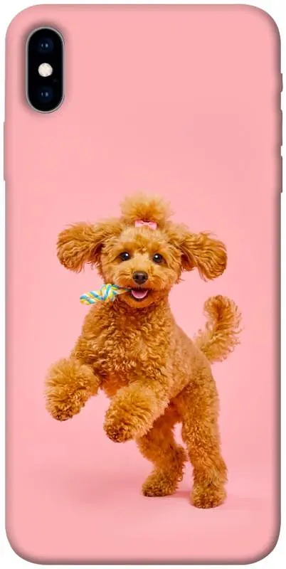 TPU чохол Demsky Happy poodle для Apple iPhone X (5.8")